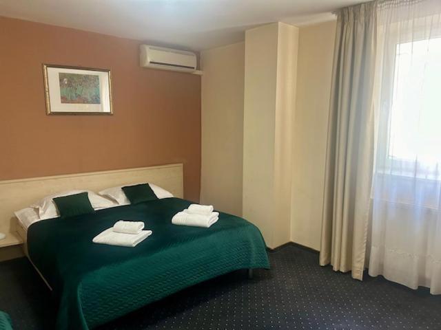Hotel Pacific Timişoara Extérieur photo